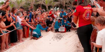 Beach Park registra novo nascimento de 176 tartarugas marinhas