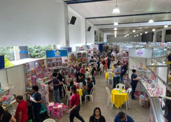 Centro de Eventos do Ceará recebe edição da Showbrinq, maior feira regional de brinquedos; entrada é gratuita