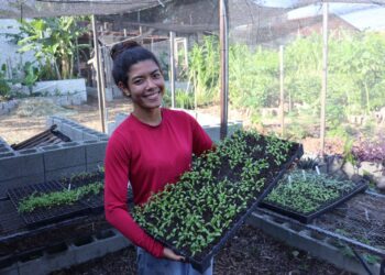 Ecoinec promove oficina de Agroecologia Urbana para incentivar o cultivo sustentável em pequenos espaços