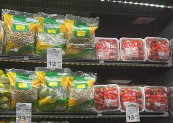 Grupo Campo Ouro Verde inova com lançamento de linha de vegetais embalados sob atmosfera modificada