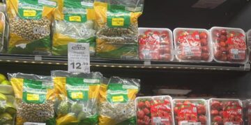 Grupo Campo Ouro Verde inova com lançamento de linha de vegetais embalados sob atmosfera modificada