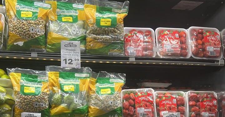 Grupo Campo Ouro Verde inova com lançamento de linha de vegetais embalados sob atmosfera modificada