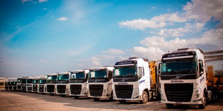 Benel projeta crescimento de 50% no faturamento em 2026 